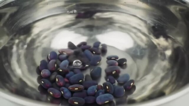 Soaking Purple Beans In Shiny Bowl For Culinary Preparation Footage