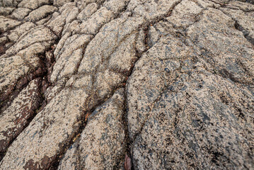 Wet rock formation full of texture on the edge of a beach. Preserved environment.