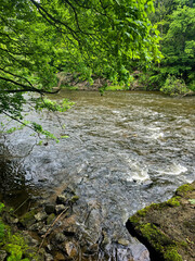 Obraz premium Liquid Power wild river TorrentFlow