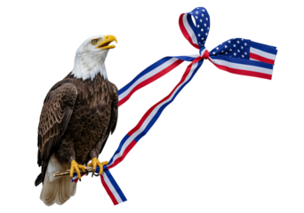 USA Bald Eagle PNG, majestic eagle with tricolor ribbon flag theme. PNG image with transparent background, symbol of freedom for 4th of July
