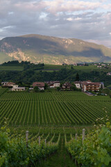 Eppan landscape with sunset colors