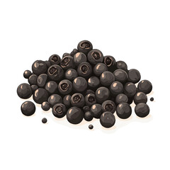 Black Pepper, flat 2D isometric cartoon vector image isolated on white background.