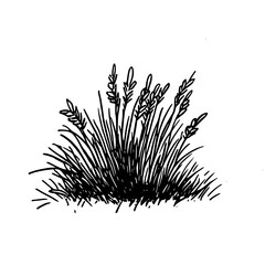 Vintage Botanical Illustration of plants in Black Ink &ndash; Hand-Drawn Floral Sketch for Botanical Books, Packaging, Tattoo Design, Nature Decor, and Vintage Garden-Themed Projects