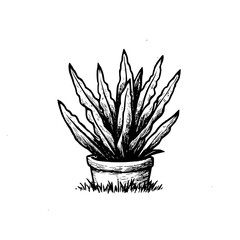 Vintage Botanical Illustration of plants in Black Ink – Hand-Drawn Floral Sketch for Botanical Books, Packaging, Tattoo Design, Nature Decor, and Vintage Garden-Themed Projects