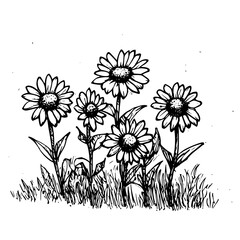 Vintage Botanical Illustration of plants in Black Ink – Hand-Drawn Floral Sketch for Botanical Books, Packaging, Tattoo Design, Nature Decor, and Vintage Garden-Themed Projects