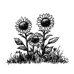 Vintage Botanical Illustration of plants in Black Ink – Hand-Drawn Floral Sketch for Botanical Books, Packaging, Tattoo Design, Nature Decor, and Vintage Garden-Themed Projects