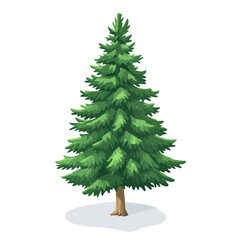 Chilean Pine Tree, flat 2D isometric cartoon vector image isolated on white background.