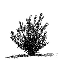 Hand-Drawn Grass Vector Line Art Sketch - Minimalist Botanical Icon