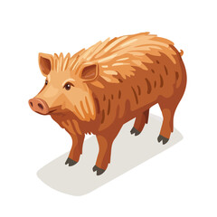 Boar, 2D isometric flat cartoon vector illustration isolated on white background.