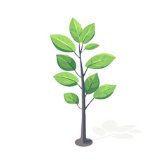 Balsa Sapling, 2D isometric flat cartoon vector illustration isolated on white background.