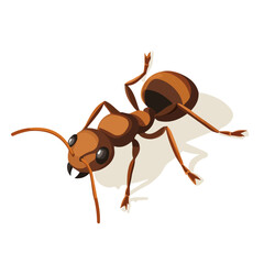 Ant, flat 2D isometric cartoon vector image isolated on white background.