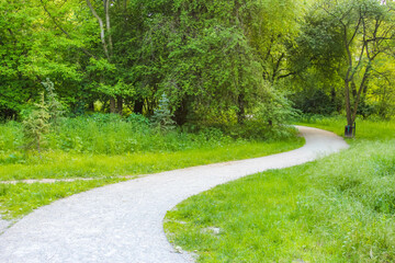 A winding gravel path leading through a lush green forest, inviting exploration and peaceful walks,