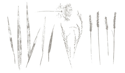 Obraz premium Trendy floral branch and grass for logo or decorations. Hand drawn line elegant leaves for invitation card. Botanical rustic trendy vector art.
