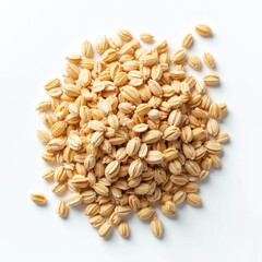 Obraz premium Isolated barley wheat oats seeds on white background. Grain, cereal seeds. Healthy food, vegetarian eating. Natural organic agriculture product. Harvesting season, bakery, healthy food design