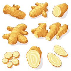 Ginger, flat 2D isometric cartoon vector image isolated on white background.