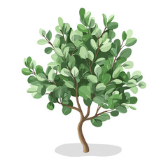 Obraz premium Eucalyptus, flat 2D isometric cartoon vector image isolated on white background.