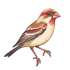 Finch, cartoon vector illustration, flat 2D isometric style, white background.