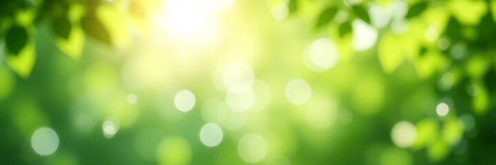 Obraz premium Serene green bokeh background with gradient transition from white to vibrant green
