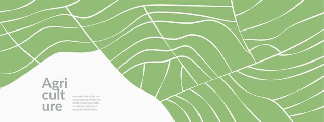 Agricultural vineyard field and rice crops with green geometric pattern. Aerial view of summer landscape with tea, wheat. Sustainable brochure, banner, advertising template. Abstract vector design