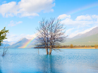 Banff National Park, Alberta, Canada. Rainbow. Reflections on the surface of the water. Mountains and tree. Background, wallpaper, postcards.