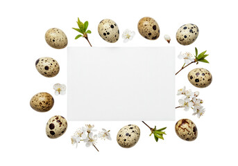 Quail eggs and spring blossoms frame blank card isolated on transparent background