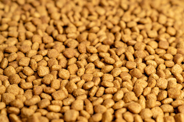 Food for animals background. Dry cat and dog food texture, pattern. Pet meal background close up. Dry food for pet dogs and cats. Dried pet food top view. Granules of good nutrition for dogs and cats.