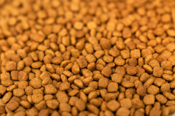 Food for animals background. Dry cat and dog food texture, pattern. Pet meal background close up. Dry food for pet dogs and cats. Dried pet food top view. Granules of good nutrition for dogs and cats.