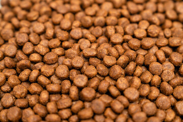 Food for animals background. Dry cat and dog food texture, pattern. Pet meal background close up. Dry food for pet dogs and cats. Dried pet food top view. Granules of good nutrition for dogs and cats.