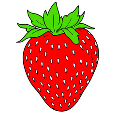 icon, fresh strawberry fruit vector, high quality