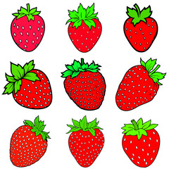 icon pack, fresh strawberry fruit vector, high quality