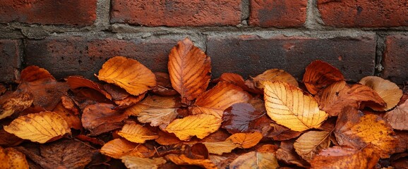 Autumnal hues: Fallen leaves against a rustic brick wall in warm light