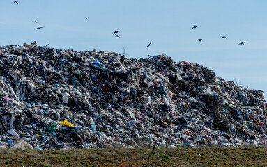 Overflowing Landfill with Plastic Waste and Seabirds in Flight Under a Clear Sky