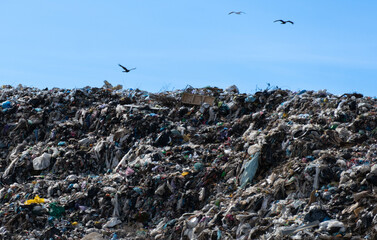 Overwhelming Wastefulness with Birds Soaring Over a Landfill