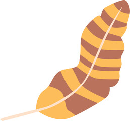 Single striped bird feather vector illustration
