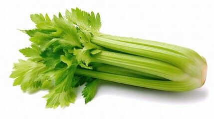 Fresh Crisp Green Celery Stalk with Leaves Against White Background
