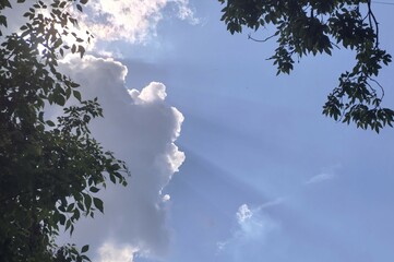 Sun rays shining through clouds, blue sky, surrounded by green leaves and branches, copy space