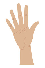 Hand gestures. Counting fingers. Five fingers. Vector illustration