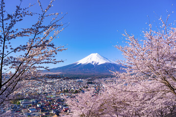 山梨県富士吉田市　春の新倉山浅間公園