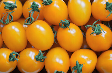 Yellow Cherry Datterino Tomatoes Background