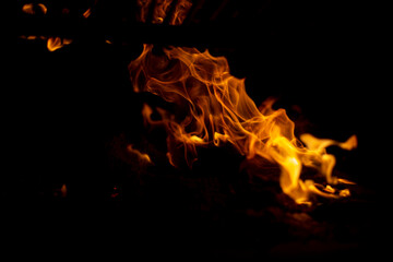Obraz premium FUEGO NOCTURNO