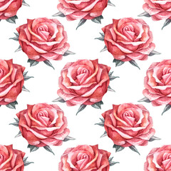 Seamless pattern watercolor pink rose with green leaves on white background. Hand-drawn botanical flower for Valentine's day or 8 March. Spring. Happy women's day. Art for wedding celebration invite © NatashaKun