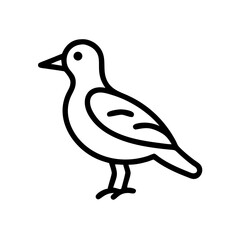 duck vector illustration