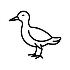 duck on white