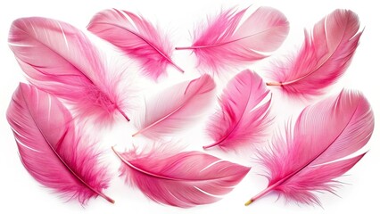 Obraz premium Light Pink Feathers Aerial Photography, Beautiful, Isolated, White Background