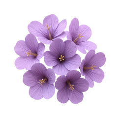 Fototapeta premium A Beautiful Arrangement of Vibrant Purple Flowers Artfully Displayed in a Circular Pattern, Isolated on Transparent and White Background
