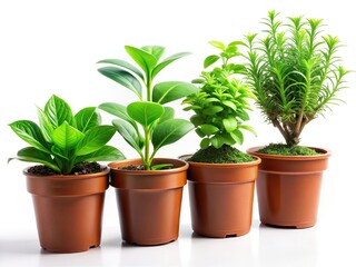 Modern Agriculture, Digital Supply Chain, Green Plants, Sustainability