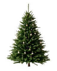 Fototapeta premium Christmas Tree PNG – Green Holiday Tree Isolated on Transparent Background