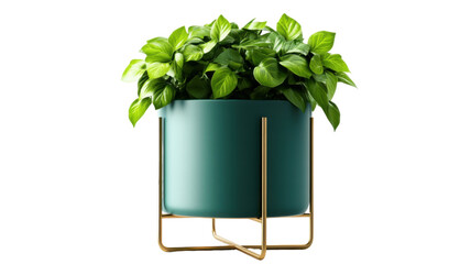  Stylish Modern Plant Pot with Minimal Design Isolated on White Background