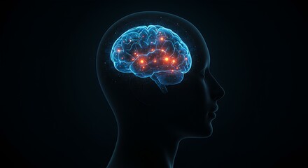 Obraz premium 3D Render of Human Brain with Neural Network