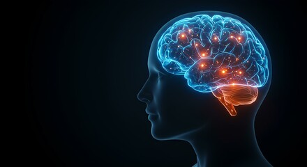 Fototapeta premium Glowing Digital Human Brain with Neural Sparks